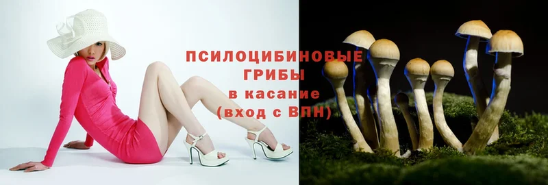 Галлюциногенные грибы Magic Shrooms Кинель