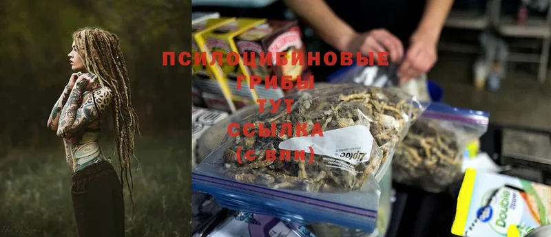 Псилоцибиновые грибы GOLDEN TEACHER  Кинель 